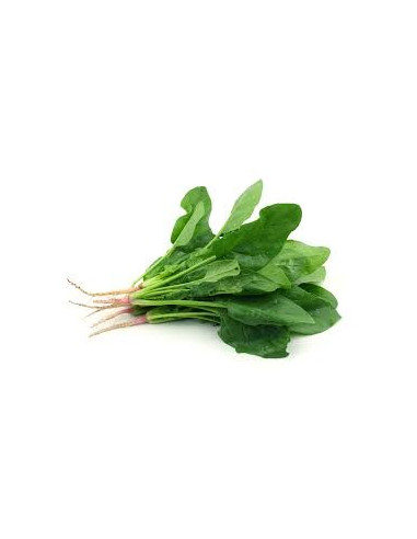 Espinaca