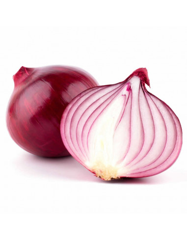 Cebolla Morada