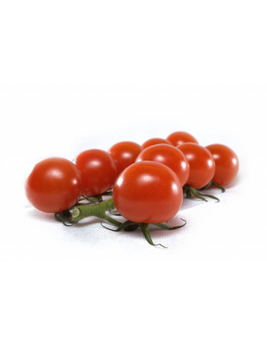 TOMATES COCKTAIL