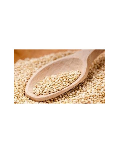 QUINOA BLANCA