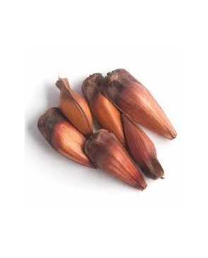 Piñones